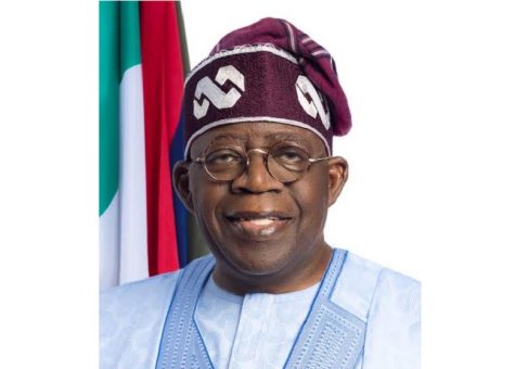 19193686_presidentbolaahmedtinubu487x340_jpeg5d7510112f8d435e913a1dee79348015